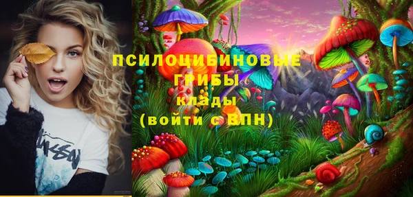 бошки Абинск