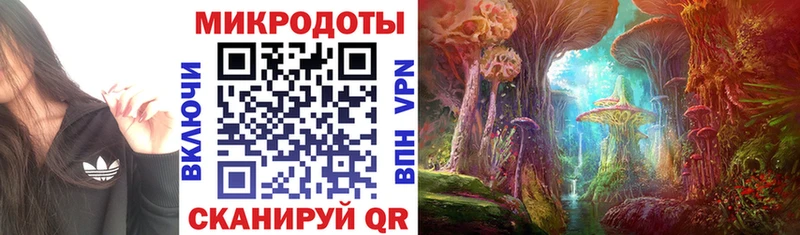 kraken вход Мурино Галлюциногенные грибы GOLDEN TEACHER