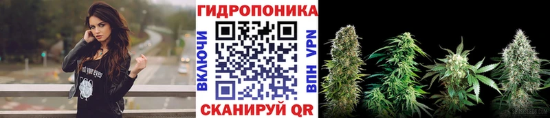 MEGA как войти Мурино Марихуана тримм магазин продажи наркотиков